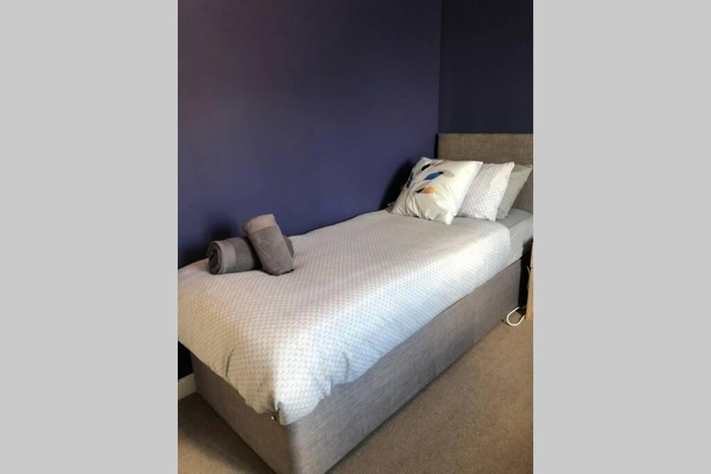 Dudley House **Staycation & Contractors** Sleeps 7 Типтън Екстериор снимка